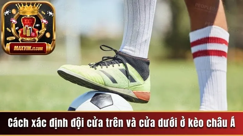 Cách xác định đội cửa trên và cửa dưới ở kèo châu Á